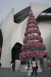 juletrae i Singapore